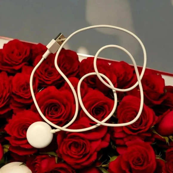 YUANHOT Charging Cable Replacement for Google Pixel Watch, 3.3ft USB Charger EUC - Picture 1 of 4